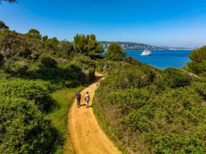 From Cannes: Round-Trip Ferry to Ste. Marguerite Island - Round-Trip Ferry Schedule
