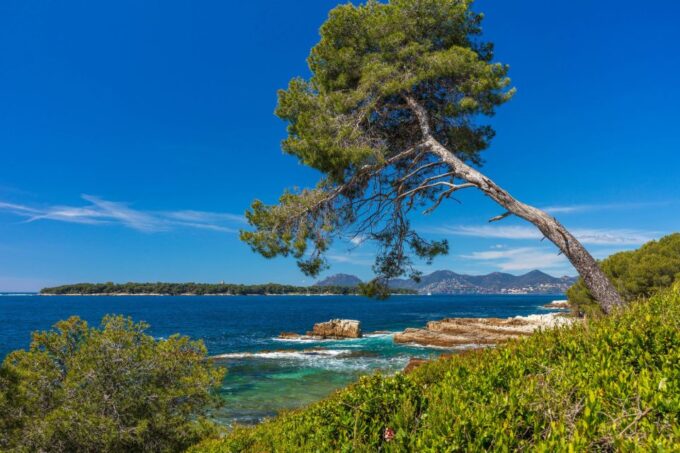From Cannes: Round-Trip Ferry to Ste. Marguerite Island - Recommended Attire and Gear