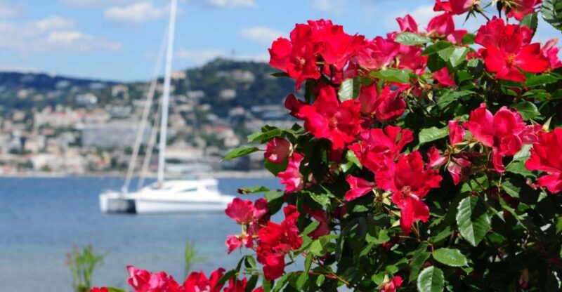 From Cannes: Shore Excursion to Grasse, Antibes, St Paul De Vence - Key Points