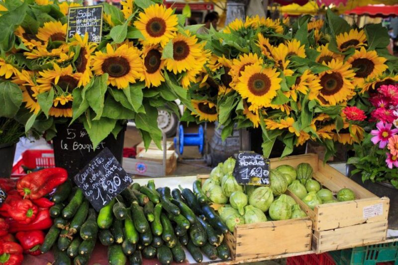 From Cannes: St Paul De Vence, Antibes & Wine Tasting Tour - Inclusion in the Tour