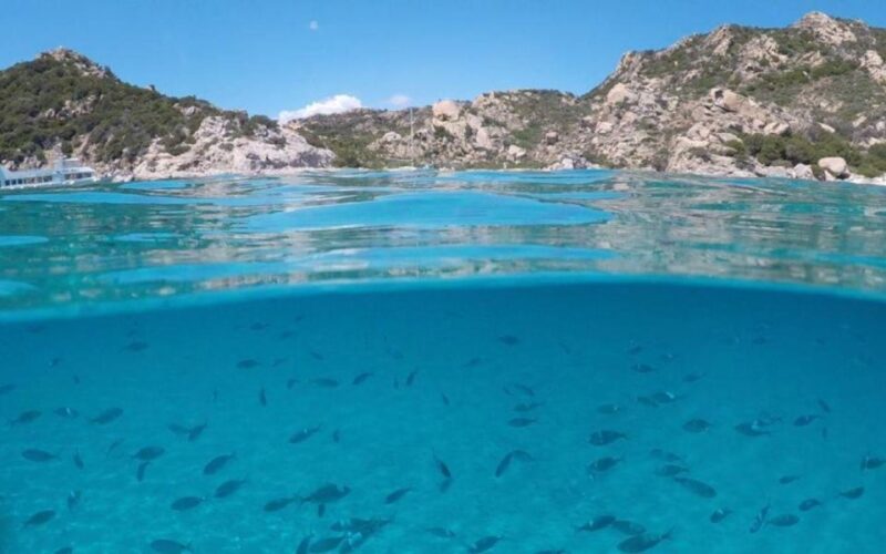 From Cannigione: Catamaran Tour Among La Maddalena Islands - Onboard Experience