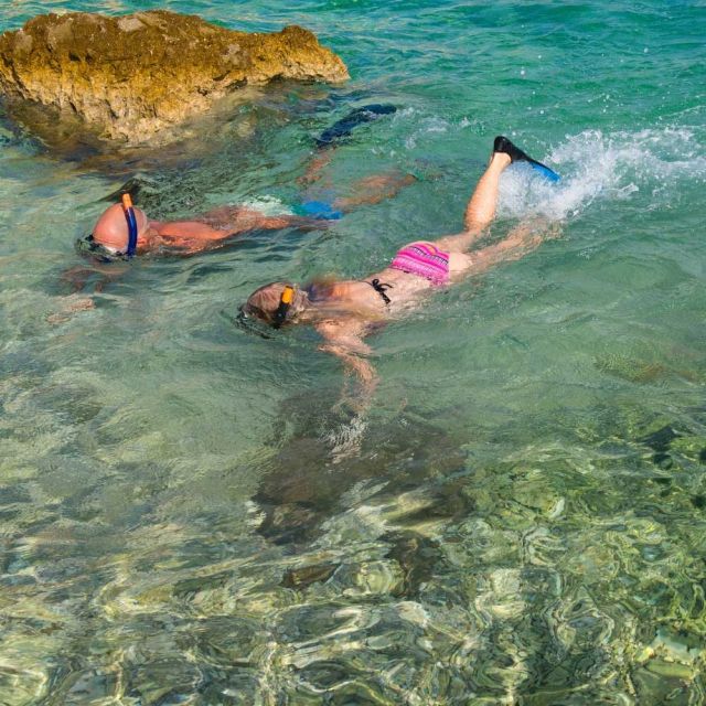 From Cannigione: Private Caprera Snorkeling Trip by Boat - Customer Feedback
