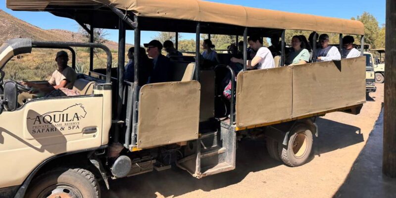 From Cape Town: 2-Day Safari at 4-Star Private Game Reserve - Day 1: Dinner and Stargazing