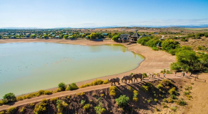 From Cape Town: 2-Day Wildlife and 4x4 Safari Experience - Departure From Cape Town/Stellenbosch