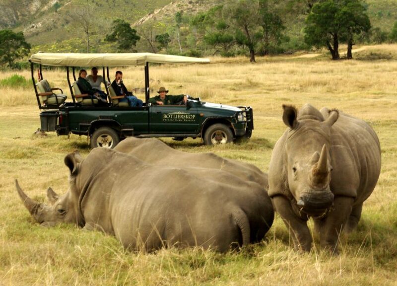 From Cape Town: 2-Day Wildlife and 4x4 Safari Experience - Visit to Botlierskop Private Game Reserve