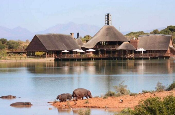 From Cape Town: 2-Day Wildlife and 4x4 Safari Experience - Return to Cape Town/Stellenbosch