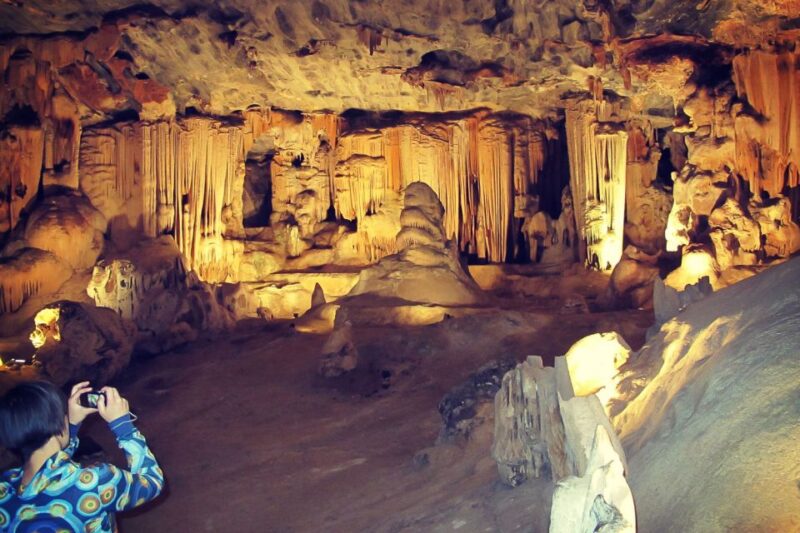 From Cape Town: 3-Day Garden Route Highlights and 4x4 Safari - Day 3: 4x4 Safari Adventure