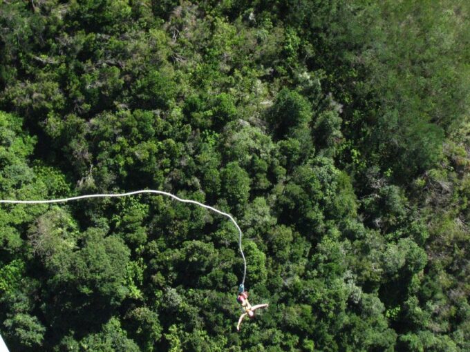 From Cape Town: 3-Day Garden Route Highlights and 4x4 Safari - Transportation and Pickup