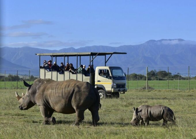 From Cape Town: 3-Day Garden Route Highlights and 4x4 Safari - Tour Inclusions