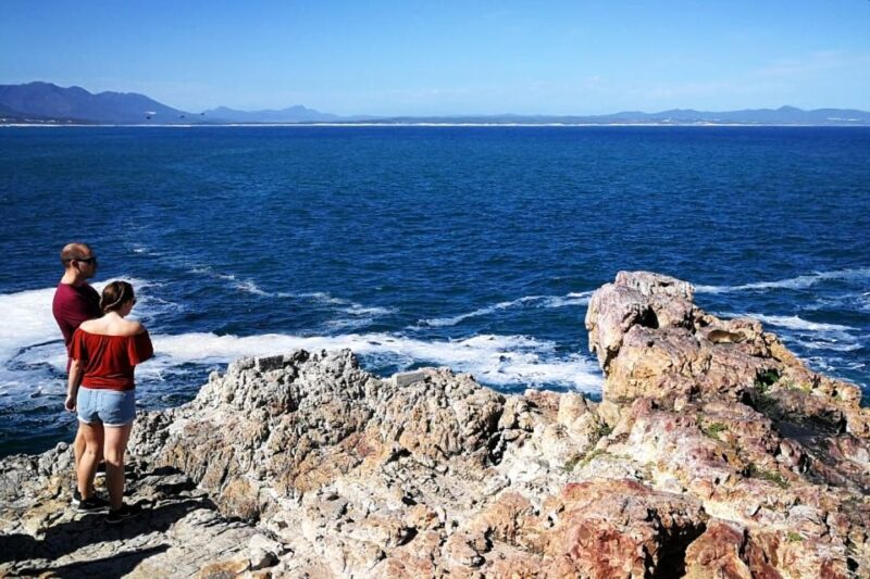 From Cape Town: 3-Day Garden Route Safari and Coastal Tour - Inclusions and Pricing