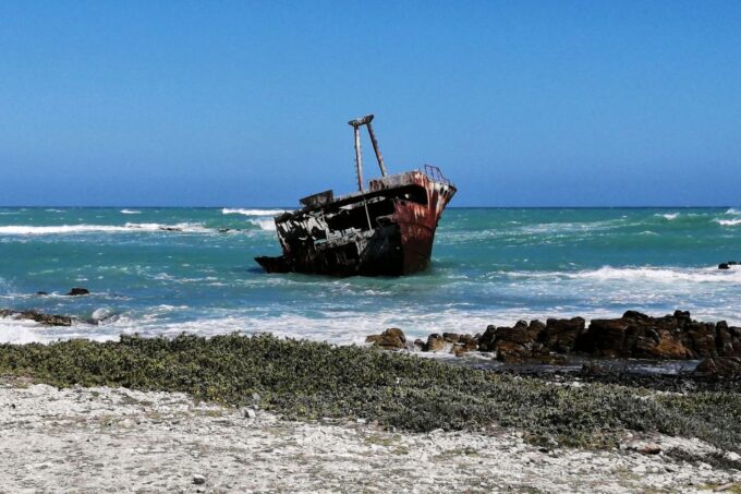 From Cape Town: 3-Day Garden Route Safari and Coastal Tour - Whale Watching in Hermanus