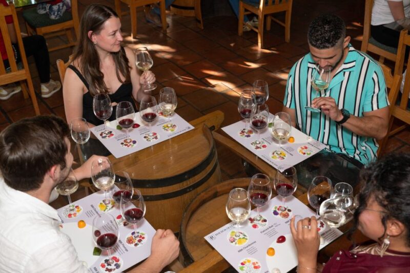From Cape Town: 3 Regions Wine Tour With 3 Estates, 15 Wines - Wine Tastings and Pairings