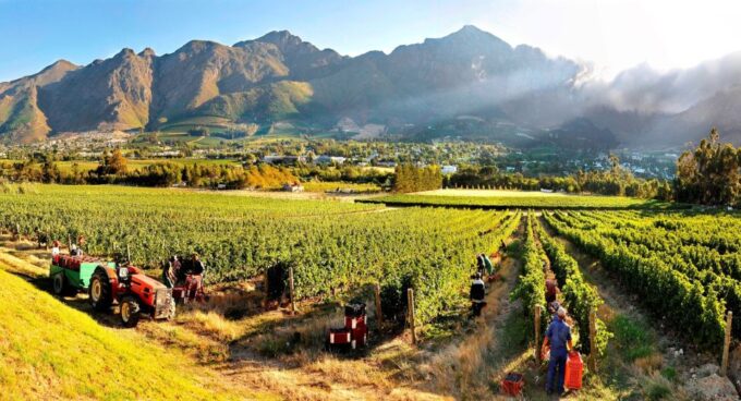 From Cape Town: 3 Regions Wine Tour With 3 Estates, 15 Wines - Frequently Asked Questions