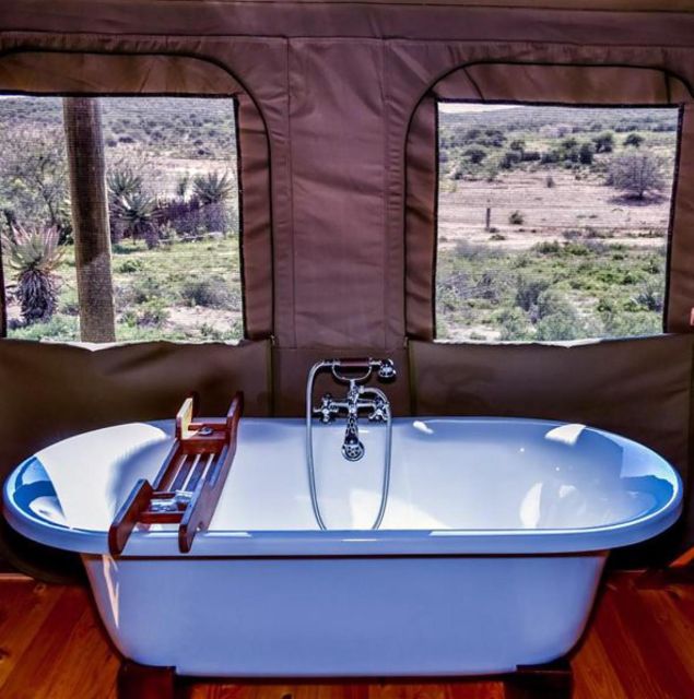 From Cape Town: 4 Day Luxury Garden Route Selection Tour - Key Points