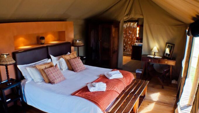 From Cape Town: 4 Day Luxury Garden Route Selection Tour - Harold Porter Botanical Gardens