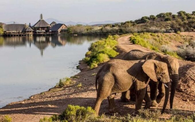 From Cape Town: 4 Day Luxury Garden Route Selection Tour - Frequently Asked Questions