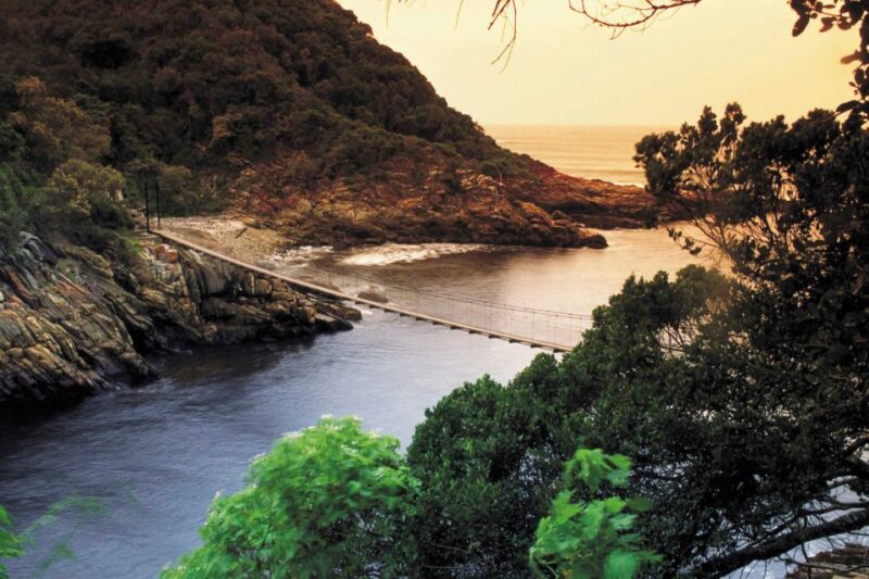 From Cape Town: 5-Day Best of Garden Route and Addo Safari - Oudtshoorn Exploration