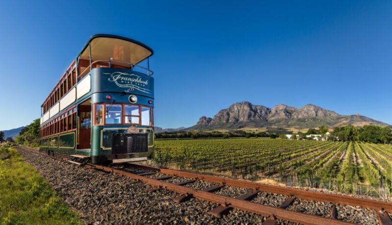 From Cape Town: 7 Day Garden Route, Addo and Winelands Combo - Key Points