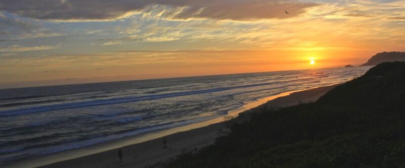 From Cape Town: 7 Day Garden Route, Addo and Winelands Combo - Explore the Cape Winelands