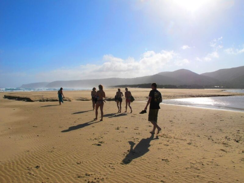From Cape Town: 7 Day Garden Route, Addo and Winelands Combo - Beaches and Coastal Towns