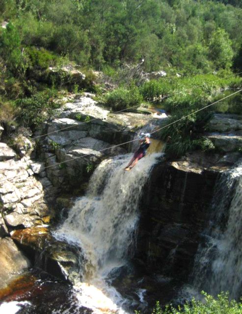 From Cape Town: 7 Day Garden Route, Addo and Winelands Combo - Inclusions and Highlights