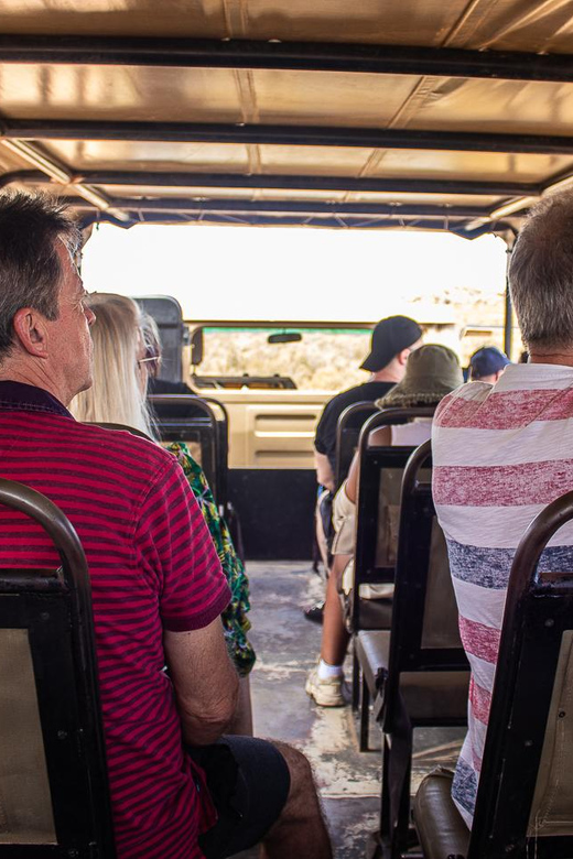 From Cape Town: Aquila Game Reserve Safari With Transfers - Comprehensive Itinerary