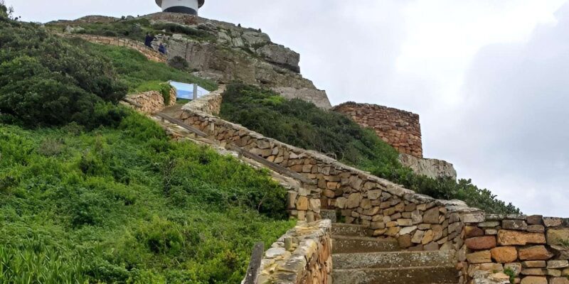 From Cape Town: Cape Of Good Hope And Penguin Guided Tour - Key Points