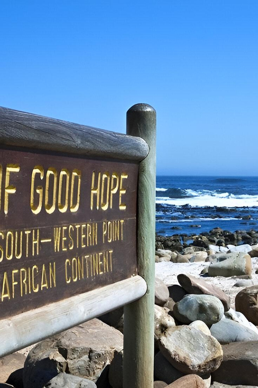 From Cape Town: Cape Of Good Hope And Penguin Guided Tour - Optional Activities