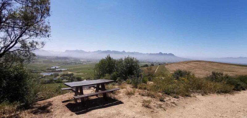From Cape Town: E-Bike Winelands Tour - Key Points