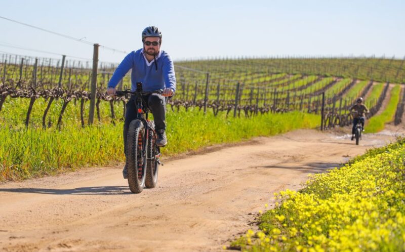 From Cape Town: E-Bike Winelands Tour - Picturesque Vineyards