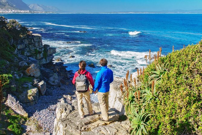 From Cape Town: Full Day Guided Hermanus Explorer Tour - Meeting and Pickup