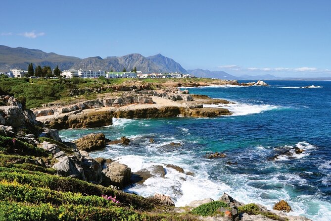From Cape Town: Full Day Guided Hermanus Explorer Tour - Guided by Experienced English-Speaking Guide