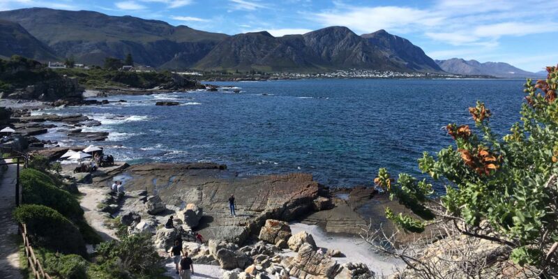From Cape Town: Full Day Tour to Hermanus - Key Points