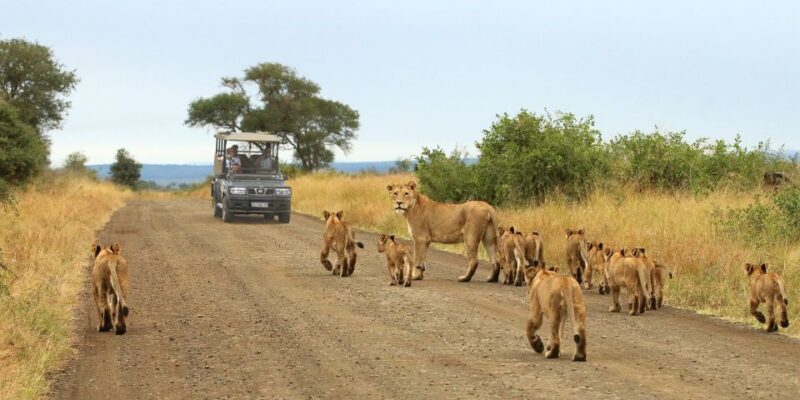 From Cape Town: Kruger National Park 2-Day Safari Trip - Itinerary Breakdown