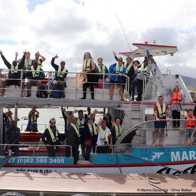 From Cape Town: Shark Cage Diving and Viewing - Key Points