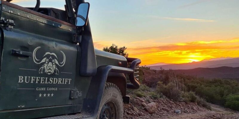 From Cape Town: South African Wildlife and Safari 2-Day Tour - Safari and Wildlife Experience