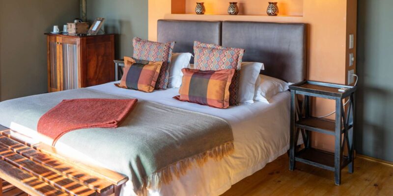 From Cape Town: South African Wildlife and Safari 2-Day Tour - Traveler Ratings and Highlights
