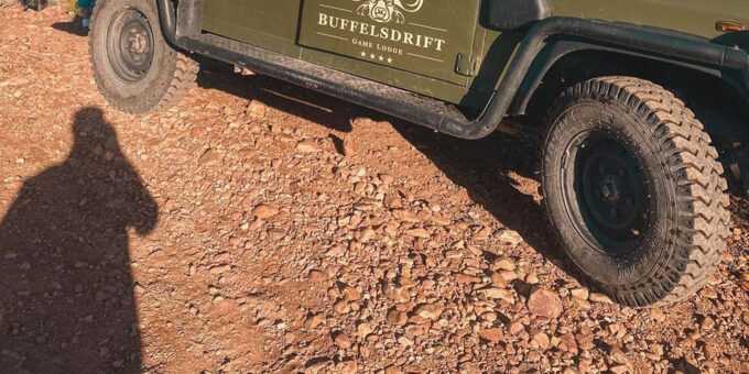 From Cape Town: South African Wildlife and Safari 2-Day Tour - What to Expect on the Tour