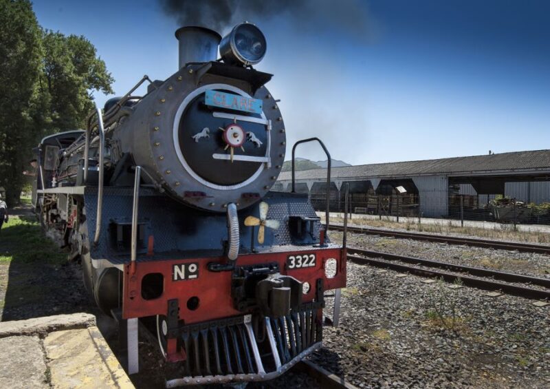 From Cape Town: Steam Train Ticket to Elgin Railway Market - Train Experience