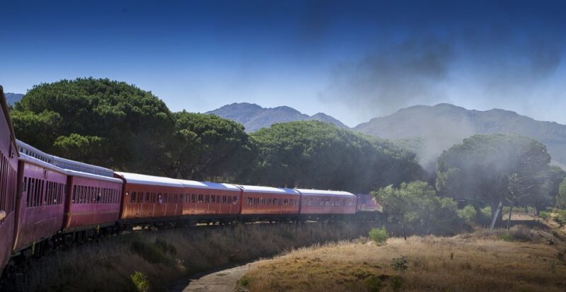 From Cape Town: Steam Train Ticket to Elgin Railway Market - On-board Policies