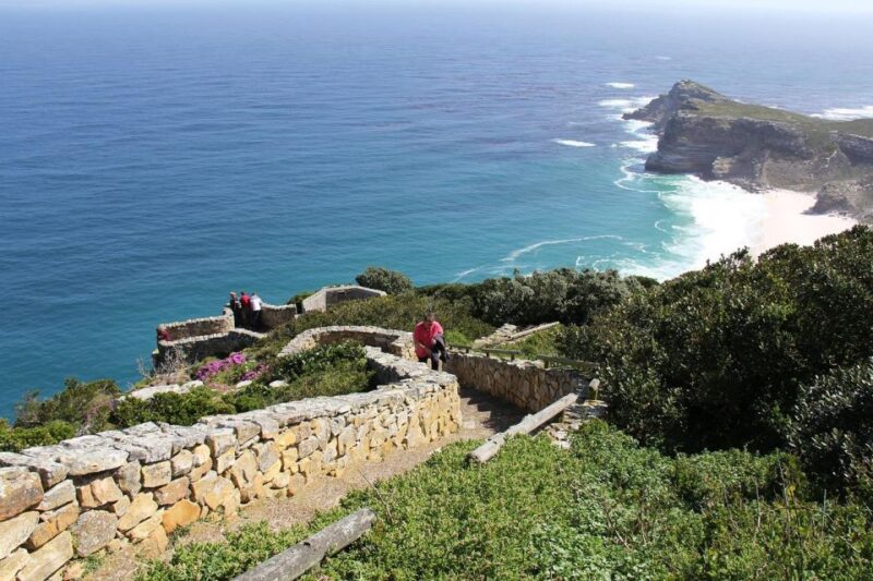 From Cape Town: Table Mountain Penguins & Cape Point Tour - Key Points