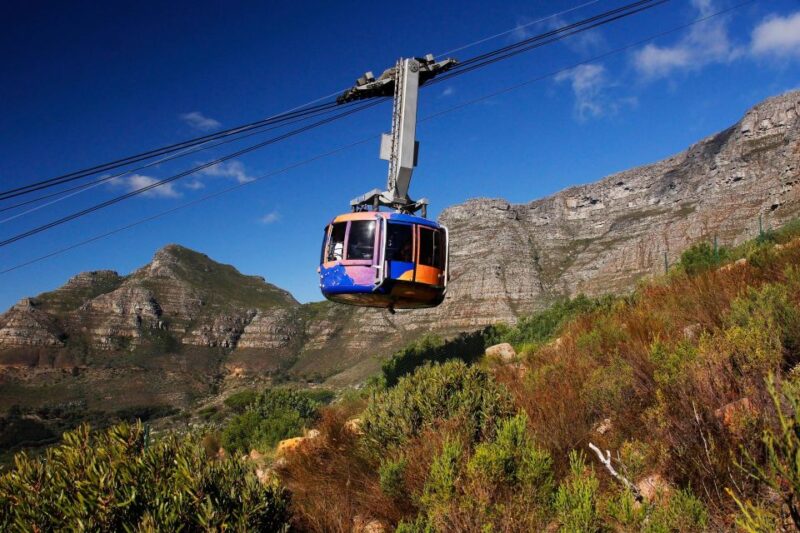 From Cape Town: Table Mountain Penguins & Cape Point Tour - Pickup and Dropoff
