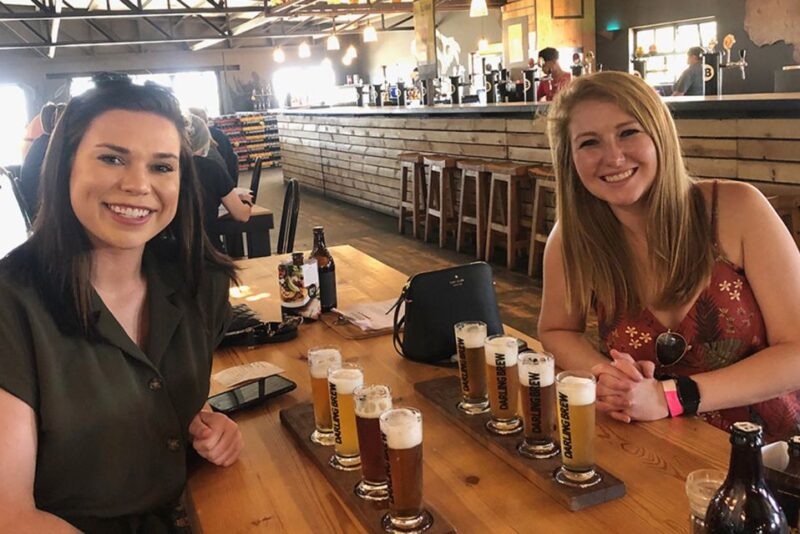 From Cape Town: Wildlife Safari, Olive, Beer & Wine Tasting - Darling Breweries Experience