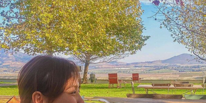From Cape Town: Wine Tasting Tour, Stellenbosch & Franschoek - Scenic Drive and Cultural Immersion