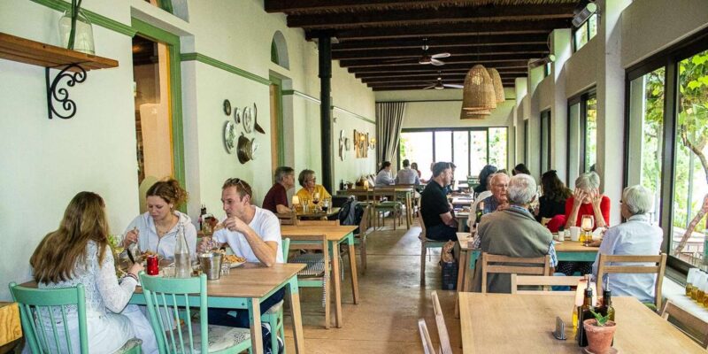 From Cape Town: Wine Tasting Tour Stellenbosch, Franschoek - Important Information
