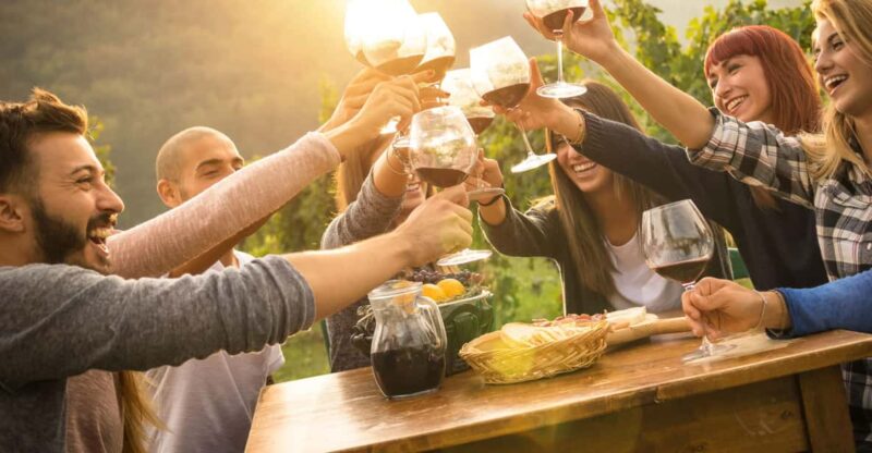 From Cape Town: Winelands Best Day Ever: Private Day Tour - Key Points