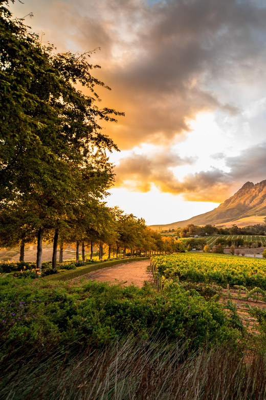 From Cape Town: Winelands Best Day Ever: Private Day Tour - Itinerary and Activities