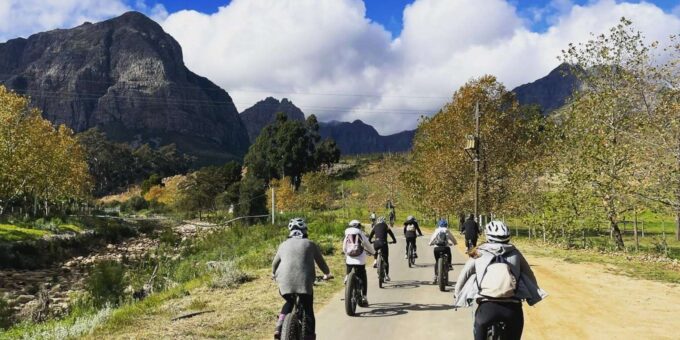 From Cape Town: Winelands Best Day Ever: Private Day Tour - Complimentary Activity Options