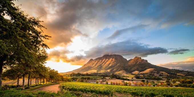 From Cape Town: Winelands Best Day Ever: Private Day Tour - Frequently Asked Questions