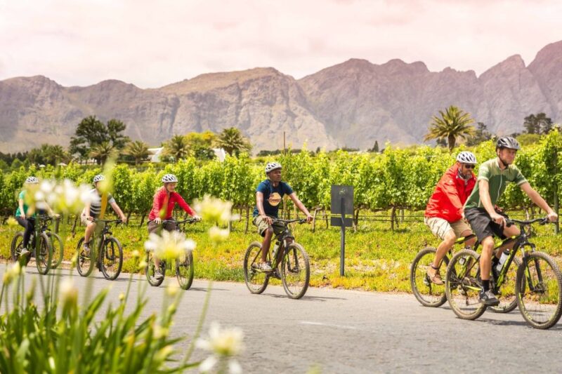 From Cape Town: Winelands Cycling Tour - Key Points